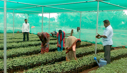 Agriculture